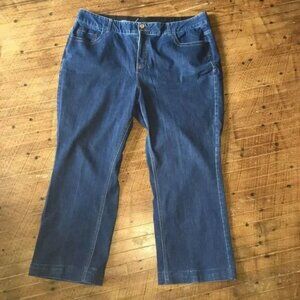 Lane Bryant 24R straight leg dark wash jeans